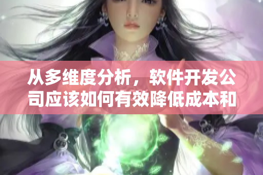 从多维度分析，软件开发公司应该如何有效降低成本和提高生产力？