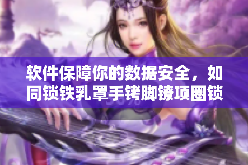 软件保障你的数据安全，如同锁铁乳罩手铐脚镣项圈锁保护你的自由
