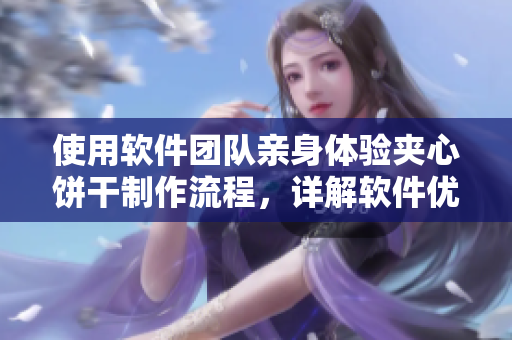 使用软件团队亲身体验夹心饼干制作流程，详解软件优化方案