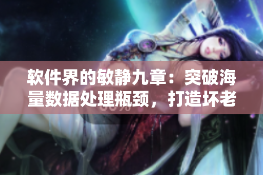 软件界的敏静九章：突破海量数据处理瓶颈，打造坏老人的智慧春天