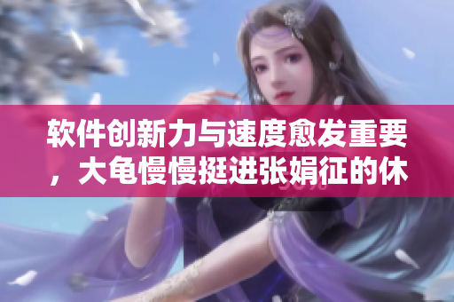 软件创新力与速度愈发重要，大龟慢慢挺进张娟征的休也需要加速前进