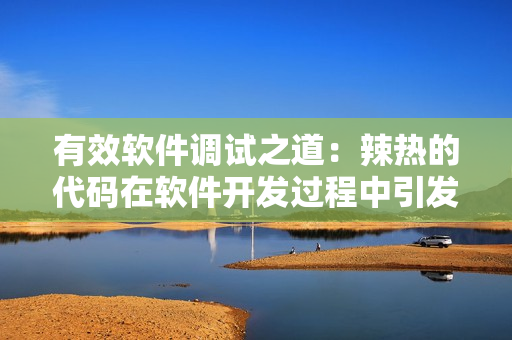 有效软件调试之道：辣热的代码在软件开发过程中引发的问题及解决思路