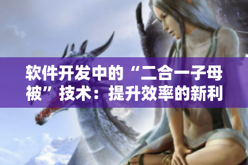 软件开发中的“二合一子母被”技术：提升效率的新利器