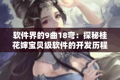 软件界的9曲18弯：探秘桂花婶宝贝级软件的开发历程