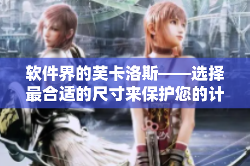 软件界的芙卡洛斯——选择最合适的尺寸来保护您的计算机！