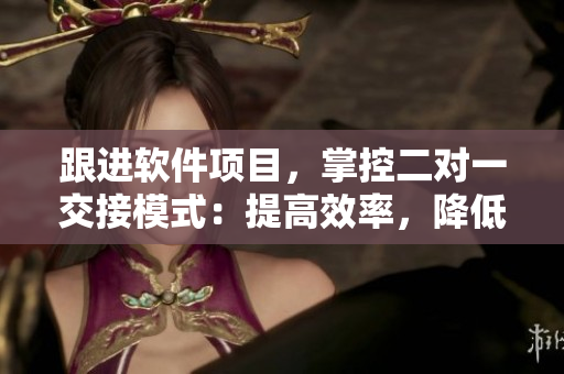 跟进软件项目，掌控二对一交接模式：提高效率，降低出错率！
