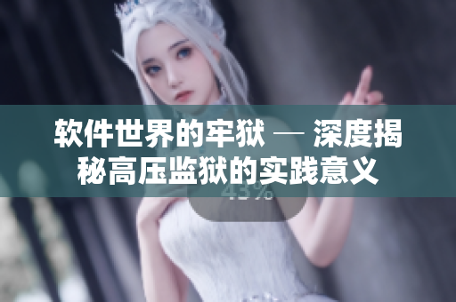软件世界的牢狱 ─ 深度揭秘高压监狱的实践意义