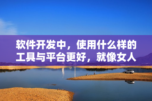软件开发中，使用什么样的工具与平台更好，就像女人选胡萝卜一样重要