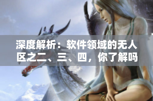 深度解析：软件领域的无人区之二、三、四，你了解吗？