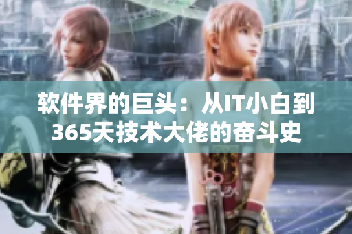 软件界的巨头：从IT小白到365天技术大佬的奋斗史