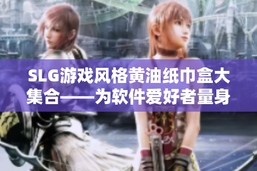 SLG游戏风格黄油纸巾盒大集合——为软件爱好者量身定制的实用品！