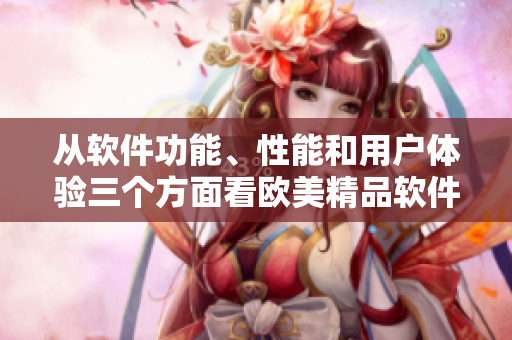 从软件功能、性能和用户体验三个方面看欧美精品软件的区别