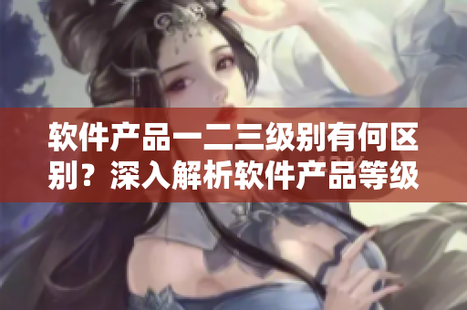 软件产品一二三级别有何区别？深入解析软件产品等级划分