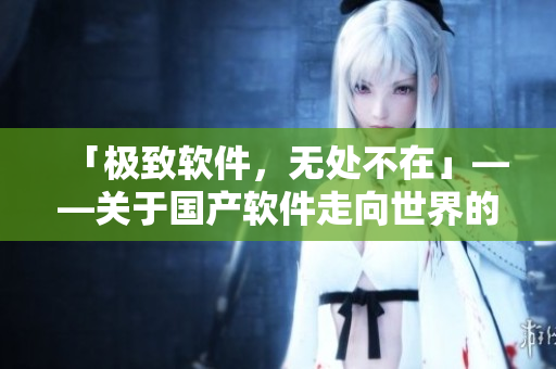 「极致软件，无处不在」——关于国产软件走向世界的探讨