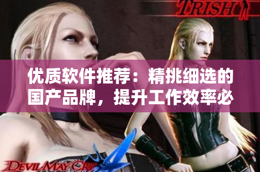 优质软件推荐：精挑细选的国产品牌，提升工作效率必备！
