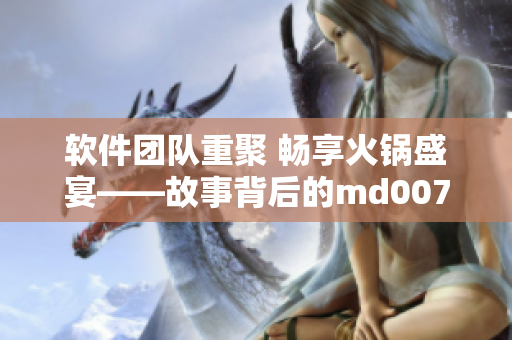 软件团队重聚 畅享火锅盛宴——故事背后的md0070沈娜娜与苏清歌