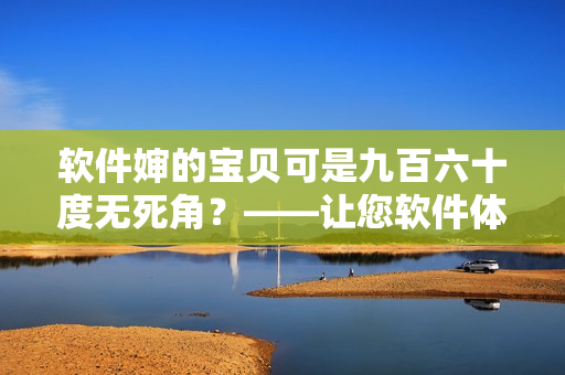 软件婶的宝贝可是九百六十度无死角？——让您软件体验更畅通无阻