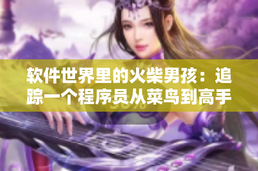 软件世界里的火柴男孩：追踪一个程序员从菜鸟到高手的成长之路