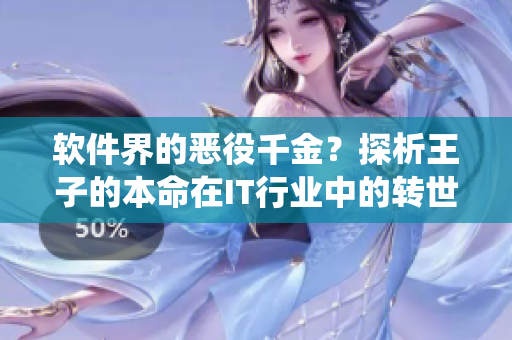 软件界的恶役千金？探析王子的本命在IT行业中的转世