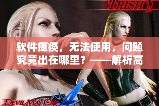 软件瘫痪，无法使用，问题究竟出在哪里？——解析高热不止BY黄昏