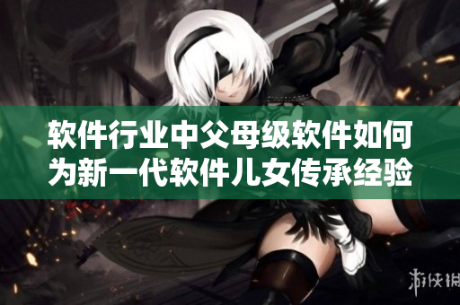 软件行业中父母级软件如何为新一代软件儿女传承经验？