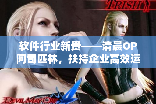 软件行业新贵——清晨OP阿司匹林，扶持企业高效运营