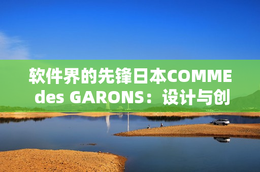软件界的先锋日本COMME des GARONS：设计与创新的结合
